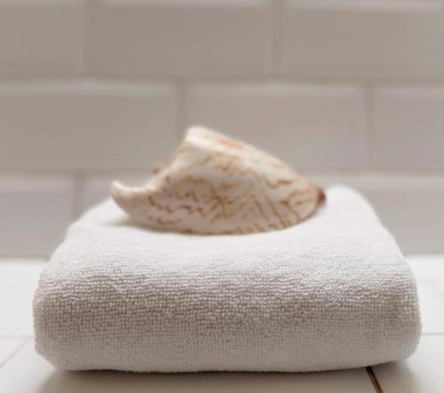 a white sponge sitting on top of a white towel at 33D Kabeljauws Beach in Jeffreys Bay