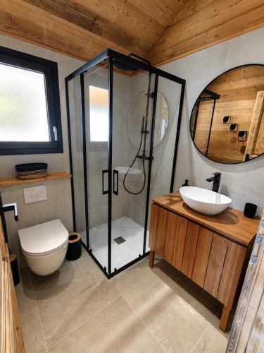 a bathroom with a shower and a sink and a toilet at Les 2 Chalets Alpins & Bains Nordiques in Saint-Michel-de-Chaillol