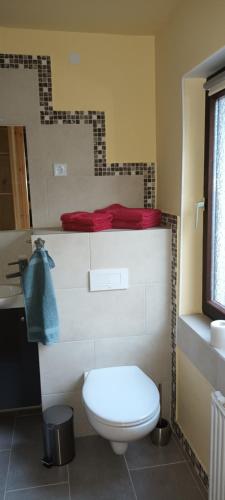 a bathroom with a white toilet and a sink at Haus Rothenberg - Wohnung Anne in Nohfelden