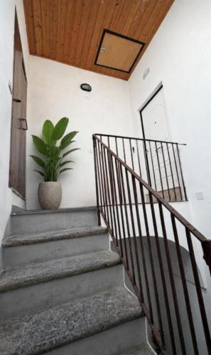 a staircase with a potted plant in a room at La casa dei desideri in Pizzo