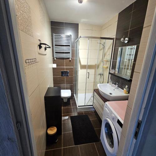 a small bathroom with a sink and a toilet at Domki Oliwia in Łeba