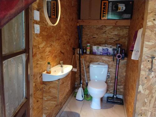 a small bathroom with a toilet and a sink at Le Mont Rochard in Sainte-Gemmes-le-Robert