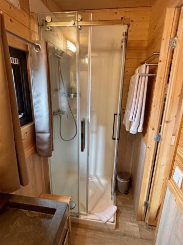 a shower with a glass door in a bathroom at Chalet Josef in Braunsbedra