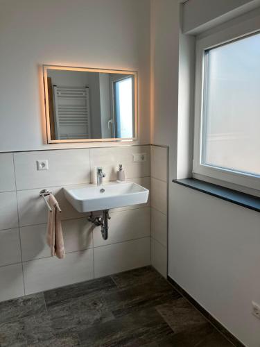 a bathroom with a sink and a mirror at Ferienhaus Louis Philippe in Altlay