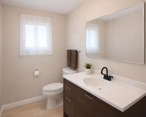 a bathroom with a toilet and a sink and a mirror at PRAIRIE SKY GETAWAY in Cheyenne
