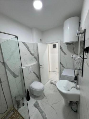 a bathroom with a shower and a toilet and a sink at MostOliva luxury Rooms in Pržno