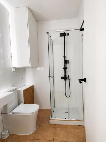 a bathroom with a shower and a toilet at Formentera Suite 3 in Es Pujols