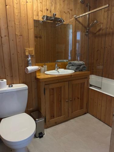 a bathroom with a toilet and a sink and a shower at Abeille de Chamonix in Chamonix