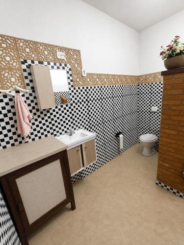 a bathroom with a sink and a toilet in it at Pousada CTI in Taubaté