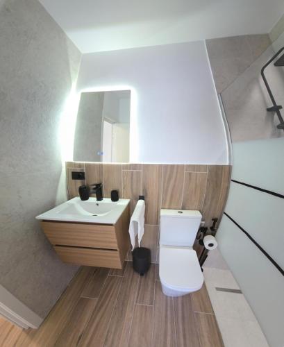 a bathroom with a sink and a toilet and a mirror at Apartamente Nefeli in Curtea de Argeş