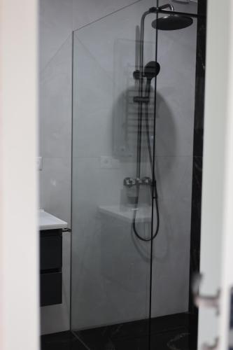 a shower with a glass door in a bathroom at Sunny Home in Ijevan