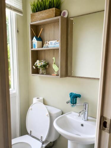 a bathroom with a toilet and a sink at Pine & Tide Escape 219 Parkdean White Acres Newquay in Saint Columb Road Station