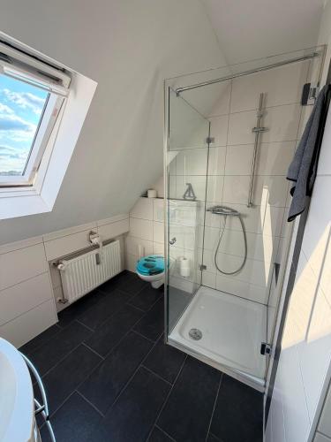 a bathroom with a glass shower with a toilet at Lenyanca Apartment in Salzbergen