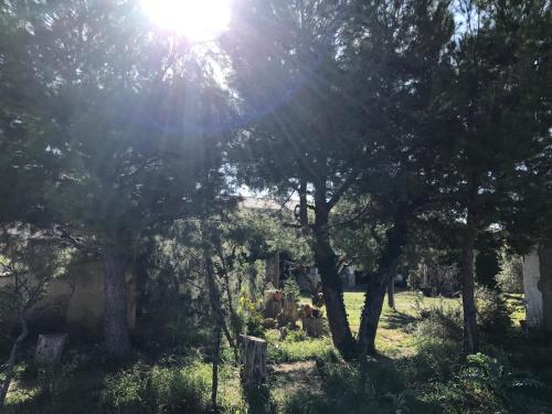 a sun shining through the trees in a field at Casa Rural La Granja in Letur