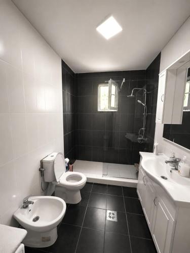 a bathroom with a toilet and a sink and a shower at Apartment Petar in Kotor