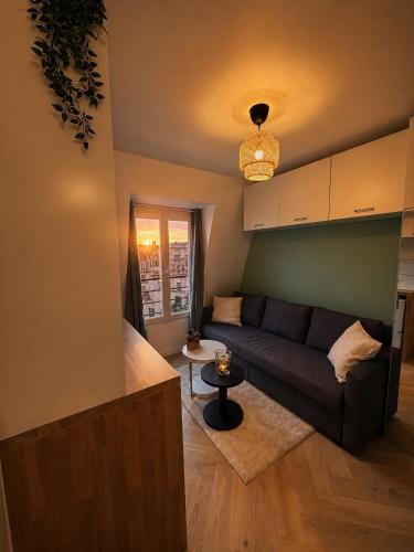 Bright Studio with Iconic Paris Rooftop Sunsets