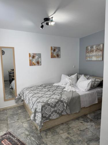 Miliotis Living