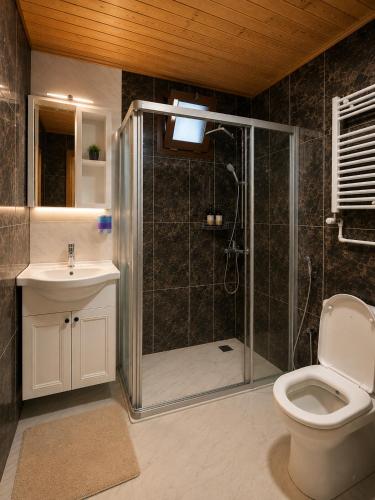 a bathroom with a shower and a toilet and a sink at Beş Evler Apart in Uzungöl