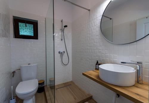 a bathroom with a sink and a toilet and a mirror at Casa Haralambie in Greci