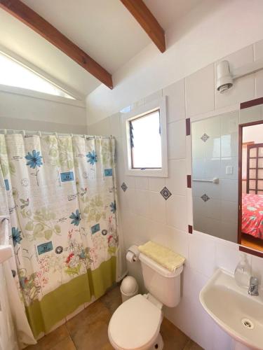a bathroom with a toilet and a sink at Cabanas Las Hualas in Punta de Choros