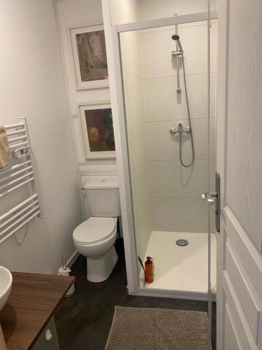 a bathroom with a toilet and a glass shower at Les OLIVETTES CLIMATISÉES d'UZES à Garrigues Sainte Eulalie in Garrigues-et-Sainte-Eulalie