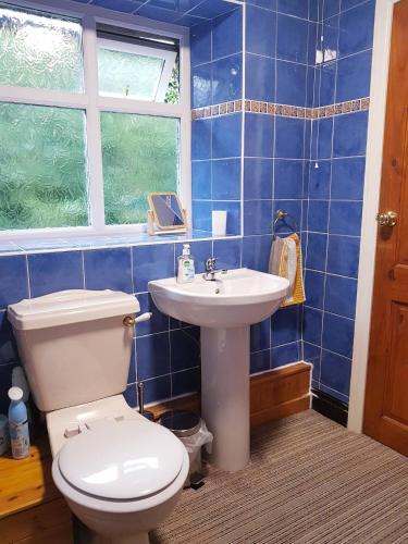 a blue tiled bathroom with a toilet and a sink at Cosy Bala House in Bala