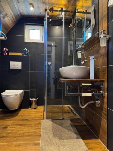 a bathroom with a sink and a toilet at Topli kutak Golija in Novi Pazar