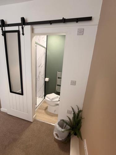 a bathroom with a toilet and a mirror at Brook Terrace in Darlington