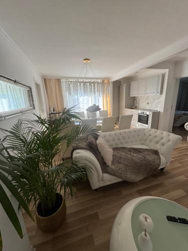 a living room with a white couch and a table at Talna Luna Ses in Negreşti-Oaş
