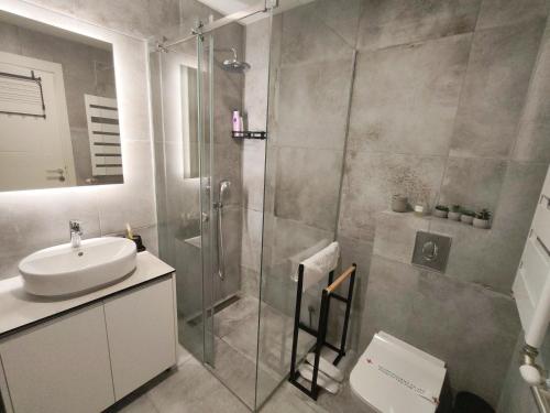 a bathroom with a glass shower and a sink at Velvet Point apartmant in Kragujevac