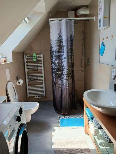 a bathroom with a shower and a toilet and a sink at Ferienwohnung Anna Gerolstein in Gerolstein