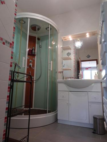 a bathroom with a shower and a sink at La Maison d Ingrandes - relais Valami in Ingrandes-de-Touraine