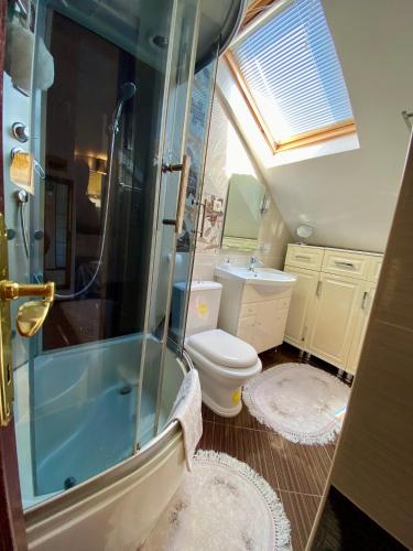 a bathroom with a shower and a toilet and a sink at House with a pier in Donji Morinj