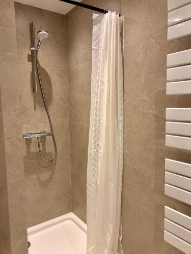 a shower with a shower curtain in a bathroom at Darius Apartment Kehl in Kehl am Rhein