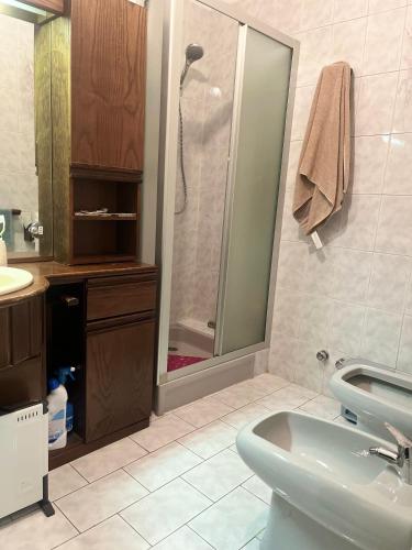 a bathroom with a shower and a sink at Dream Homes in Donnaz