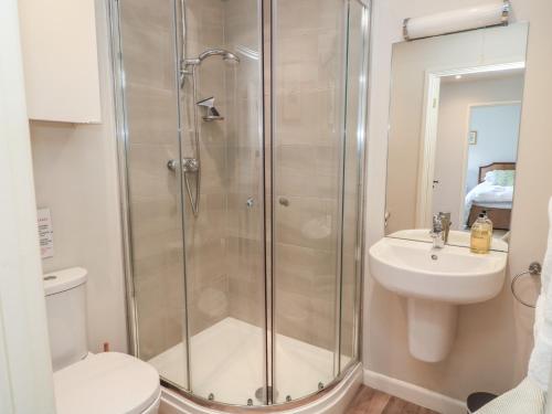 a bathroom with a shower and a toilet and a sink at The Cider Press, Motcombe, Shaftesbury in Motcombe