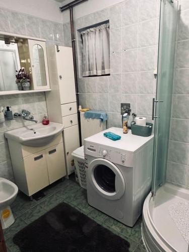 a bathroom with a washing machine and a sink at Kuća za odmor MEDUNIĆ in Gospić