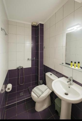 a bathroom with a toilet and a sink at The Garden Apartments in Nea Kallikrateia