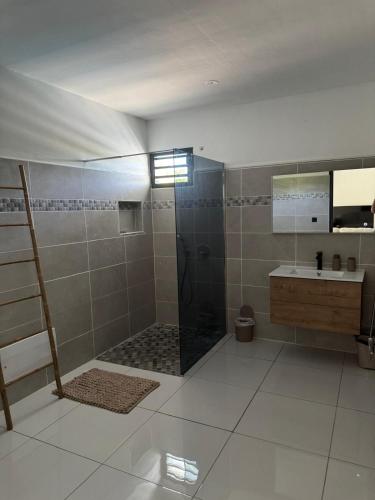 a bathroom with a shower and a sink at Bas de villa in Grand-Bourg