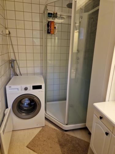eine Waschmaschine in einem Badezimmer mit Dusche in der Unterkunft Løten in Løten