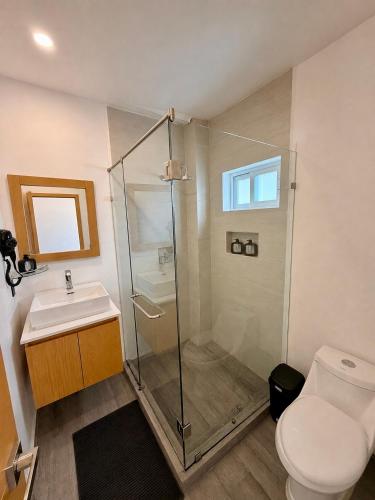 a bathroom with a shower and a toilet and a sink at Suite Casa Mia in Ciudad Sahagún