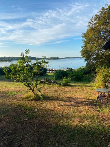 a picnic table in a field with a view of the water at Havsutsikt in Ronneby