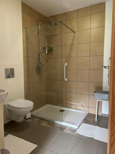 a bathroom with a shower with a toilet and a sink at Domki Przy Pracowni in Wytowno