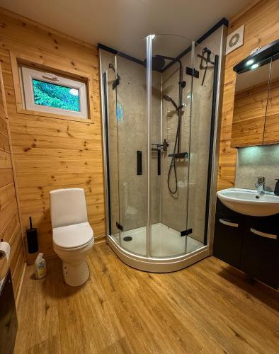 a bathroom with a shower and a toilet and a sink at Nature Resort Tiveden in Tived