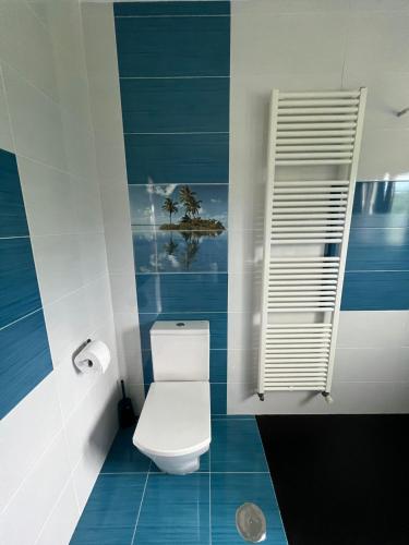 ein Badezimmer mit weißer Toilette und blauen Fliesen in der Unterkunft Casa Pasarón in Luarca