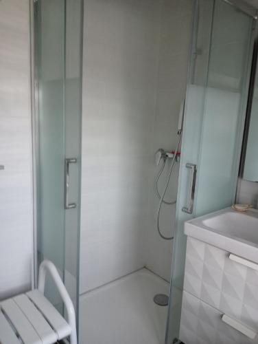 a shower with a glass door next to a sink at Maison Belzaenea in Espelette