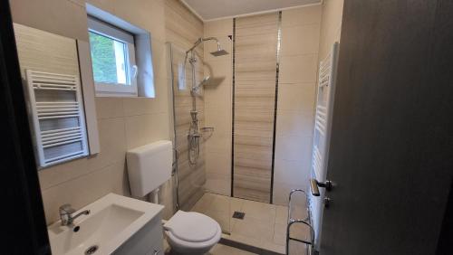 a bathroom with a shower and a toilet and a sink at Salt Holiday in Praid
