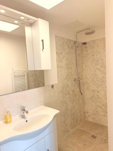a bathroom with a sink and a shower at Atelierhaus Hilmsen in Wallstawe