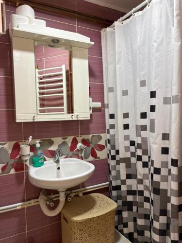 a bathroom with a sink and a mirror at Stan na dan in Pljevlja