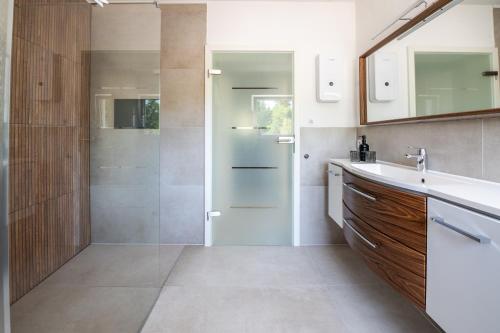 a bathroom with a shower and a sink and a mirror at La Casa Demi in Hetzerath